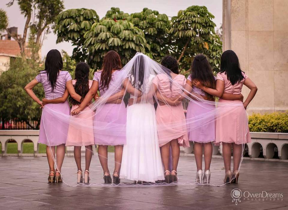 Elegant Bridal Veil